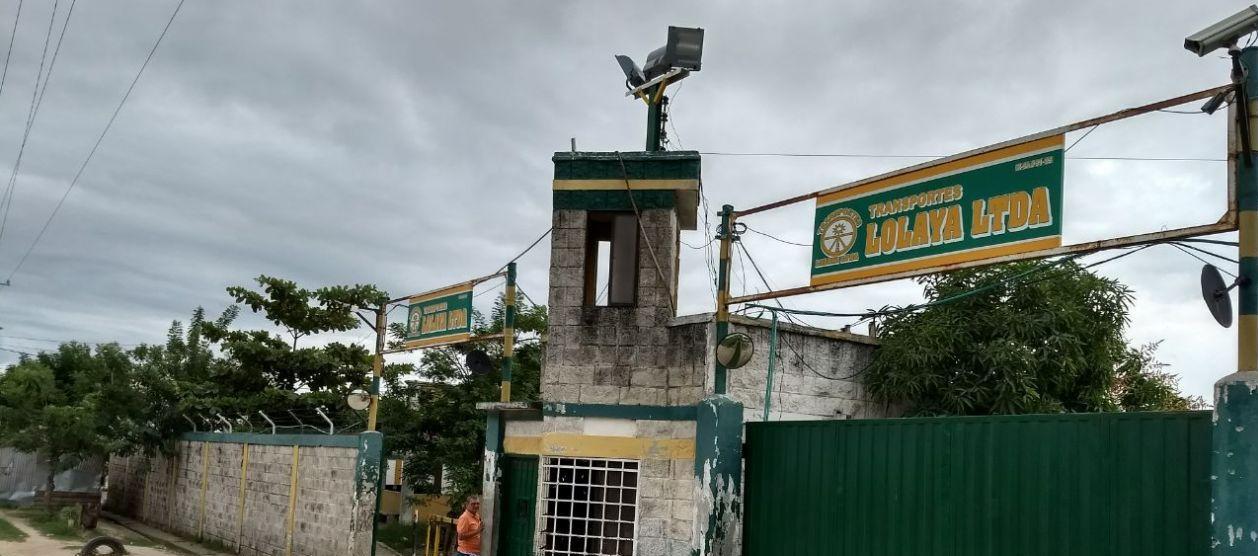 Nevada de la empresa Lolaya.