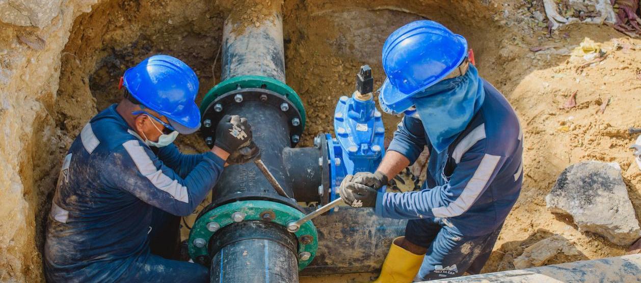 Imagen de referencia.