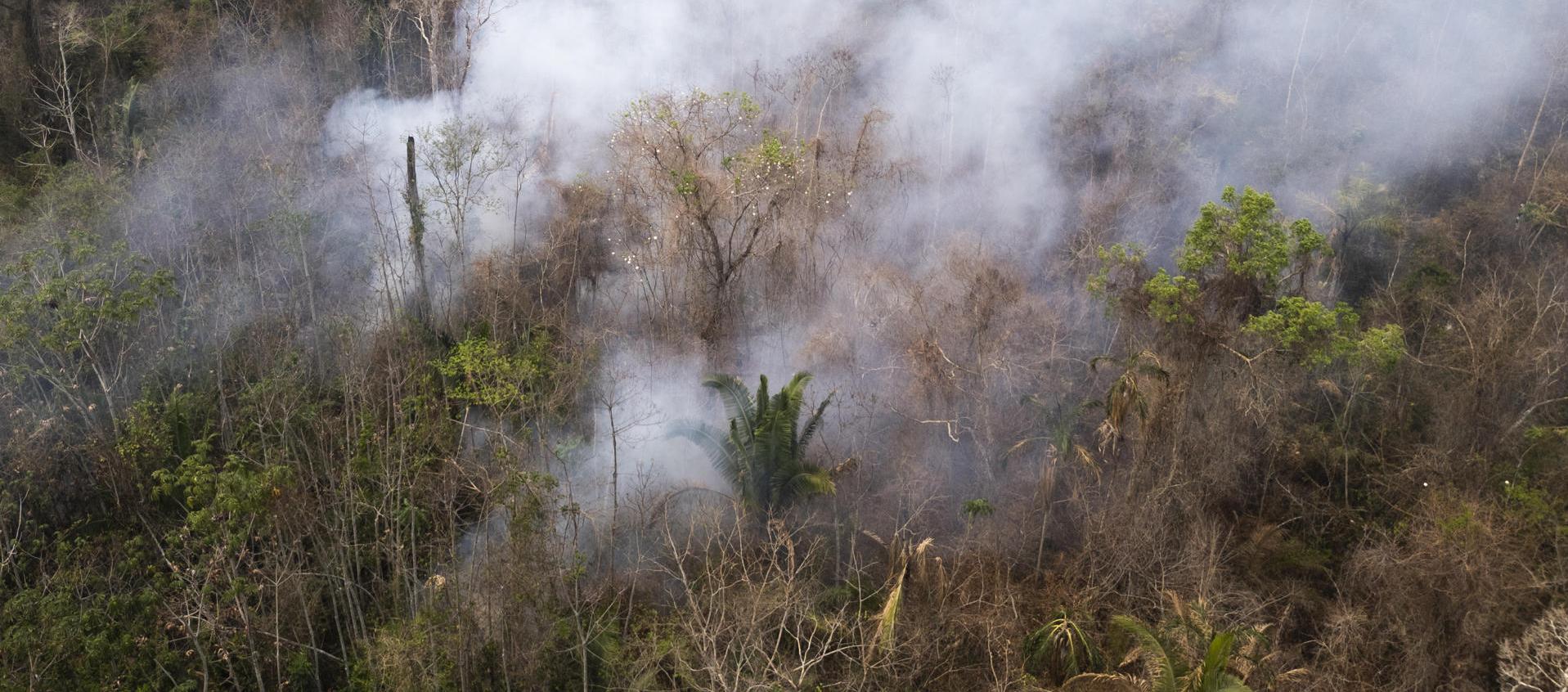 Incendios forestales en la Amazonía peruana.