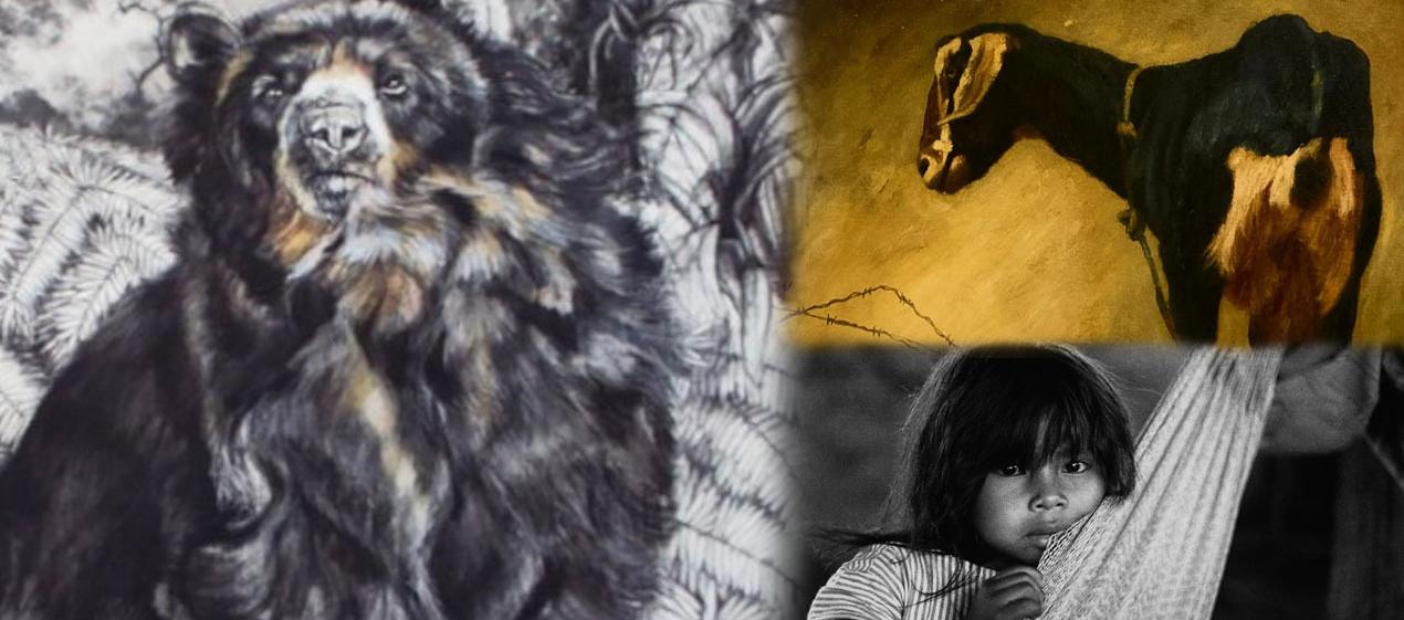 Obras de arte de Santa Marta,  Manizales y Villavicencio expuestas en los centros culturales del Banco de la República. 