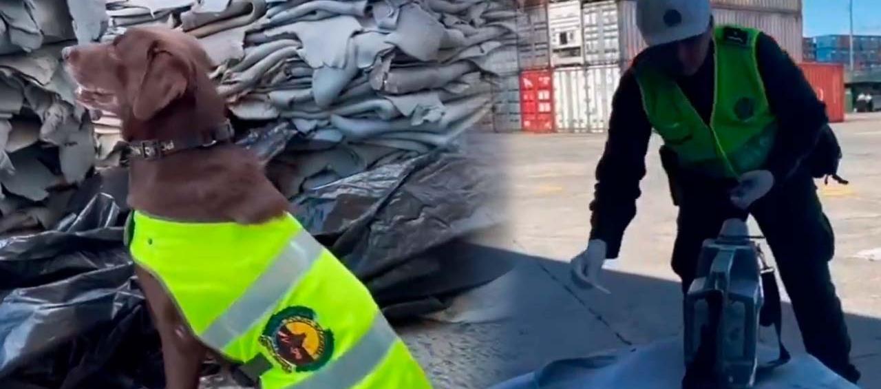 La incautación de la cocaína fue realizada por la Policía. 