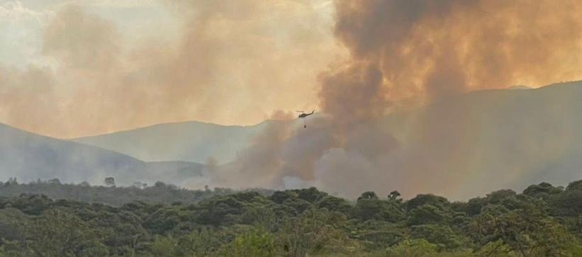 Incendio forestal.