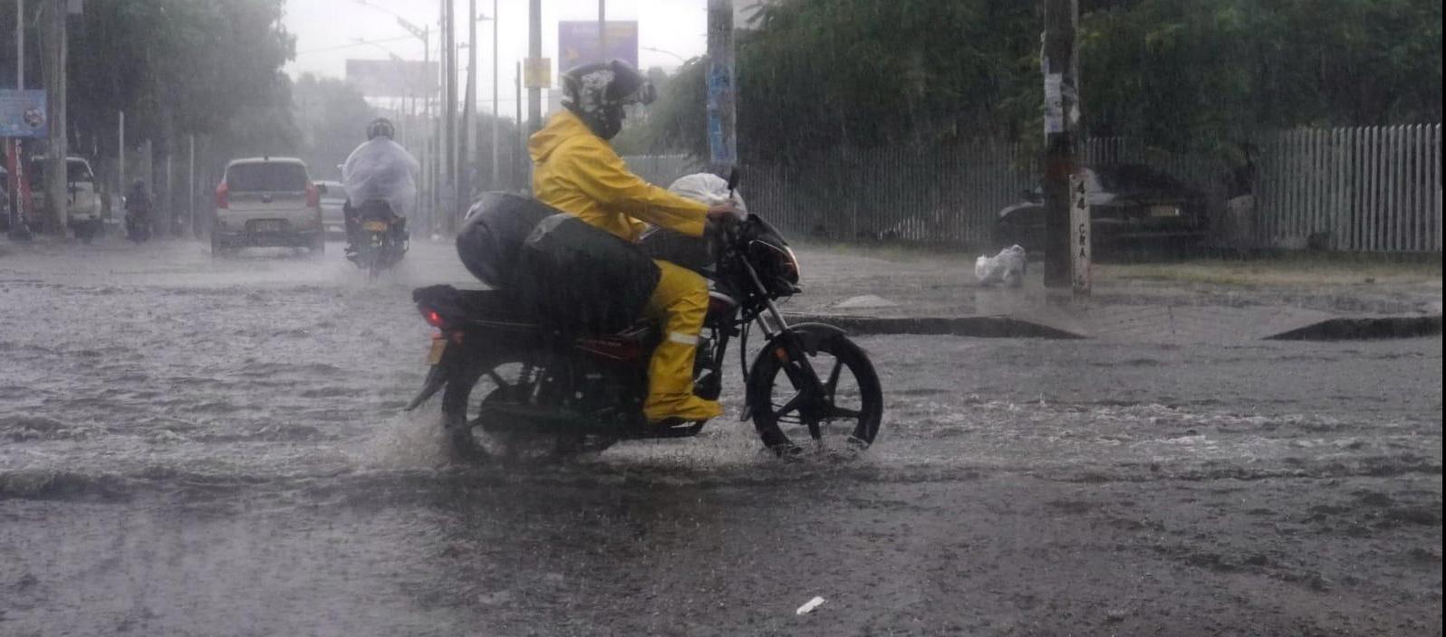 Imagen de referencia.