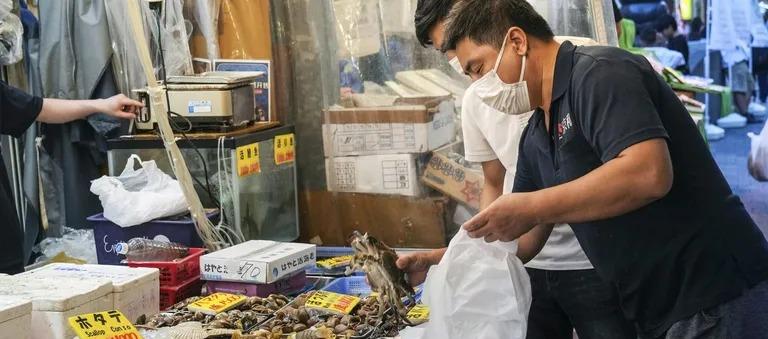 Imagen de referencia.