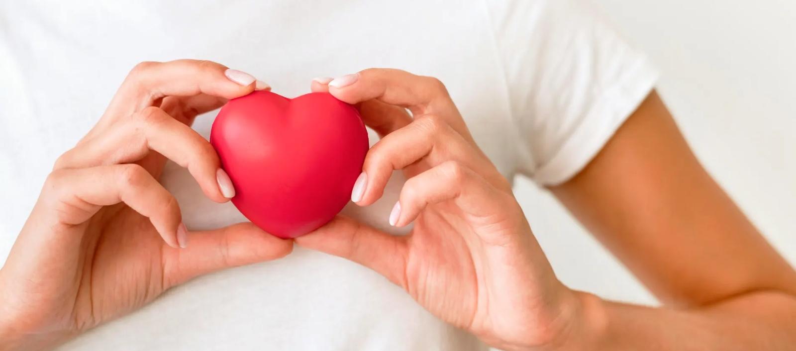 Imagen de Referencia. 