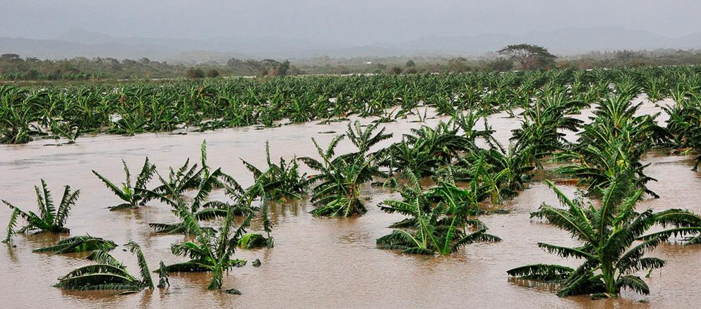 Inundación en Haití por fenómeno de 'La Niña'.