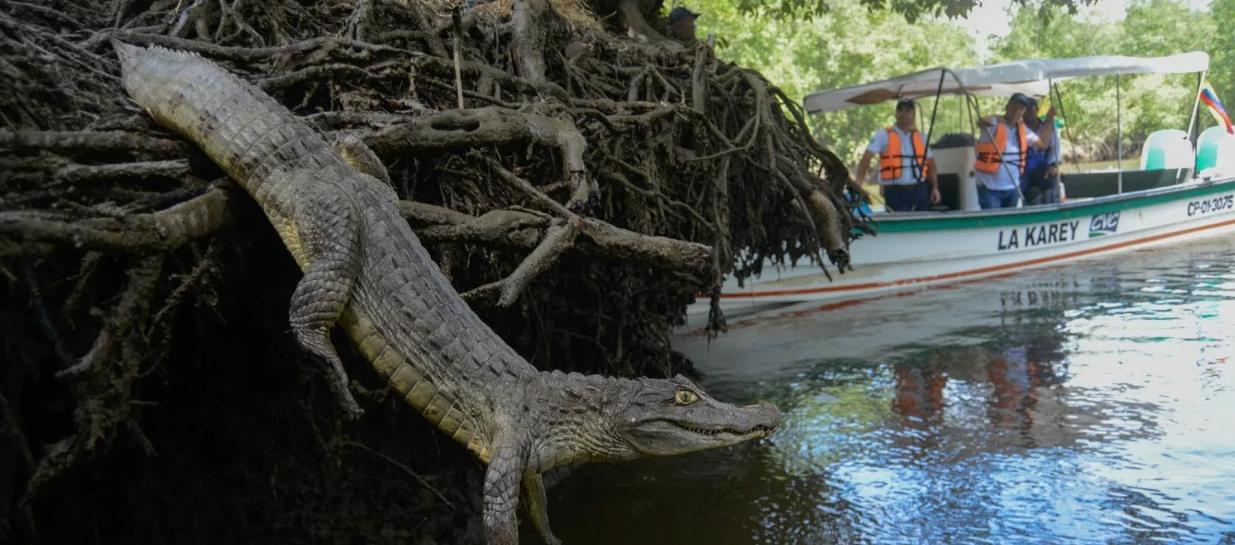 Imagen de referencia.