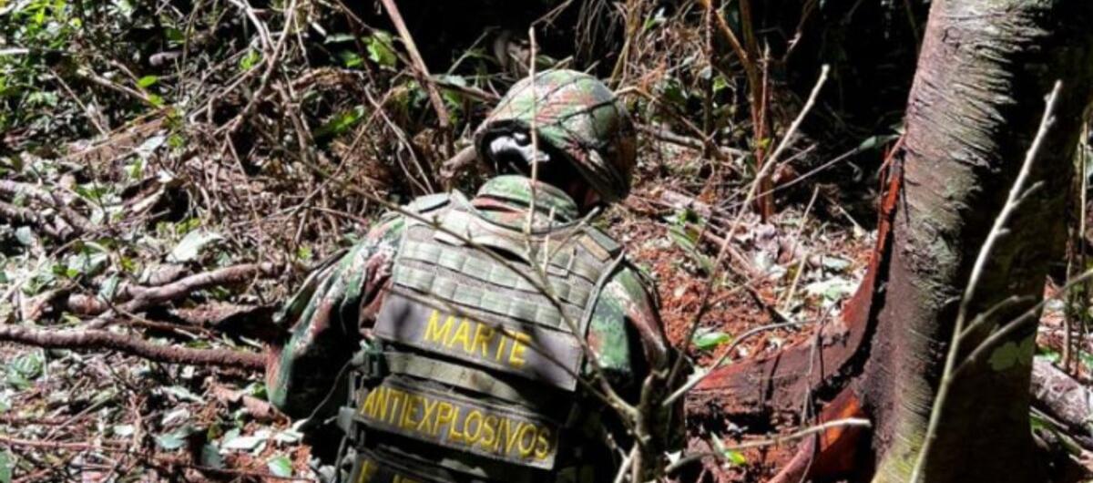 Imagen de referencia.