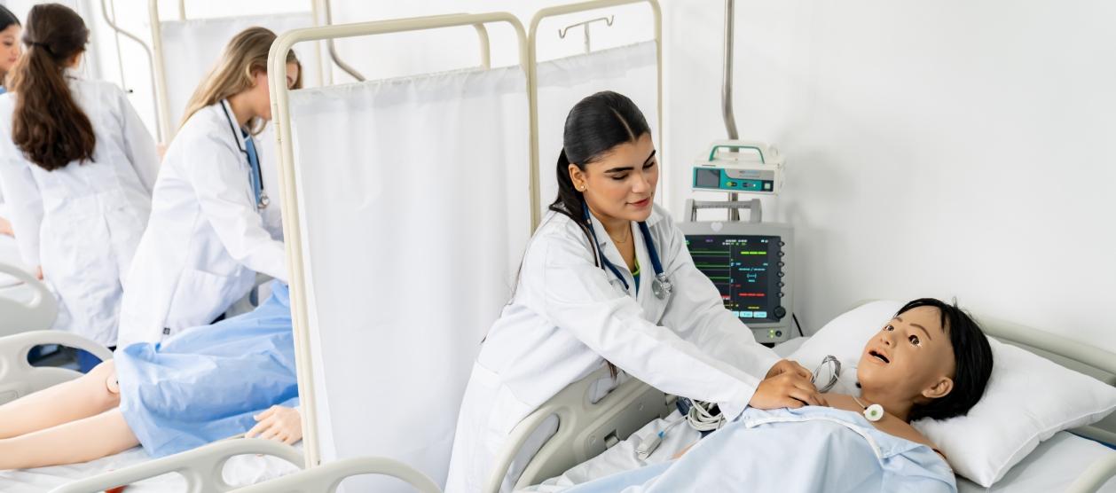 Imagen de uno de los programas.