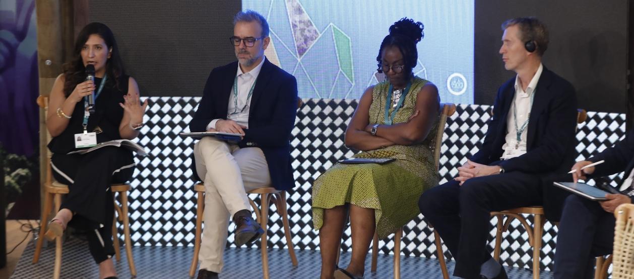Panel 'Dotar de recursos a la transición energética' en la COP16.