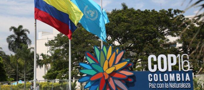 Bandera de Colombia, de la ONU y el logo de la COP16, en Cali. 