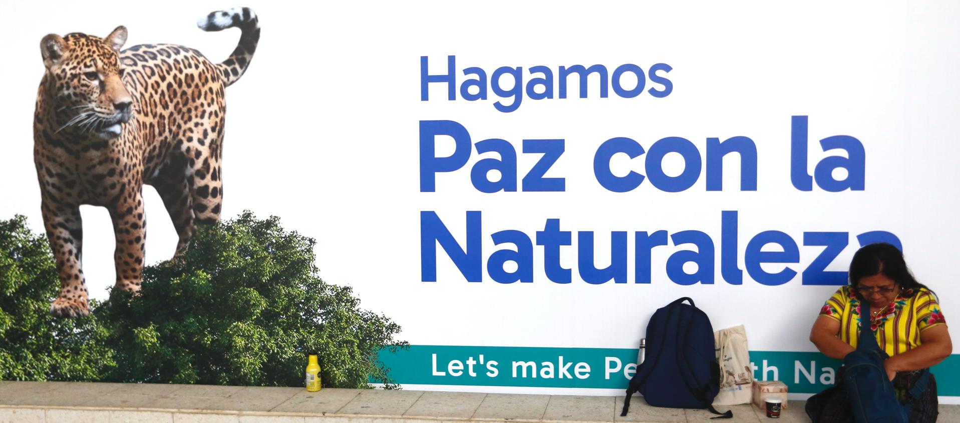 Una mujer indígena asiste a la Zona Azul de la COP16, en Cali. 