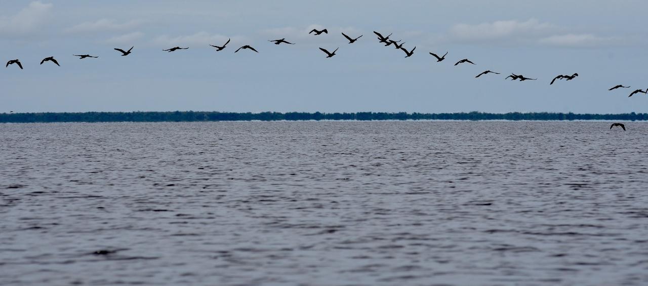 La Ciénaga Grande de Santa Marta.
