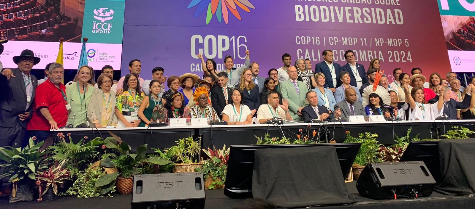 La sesión del Congreso en la COP16.