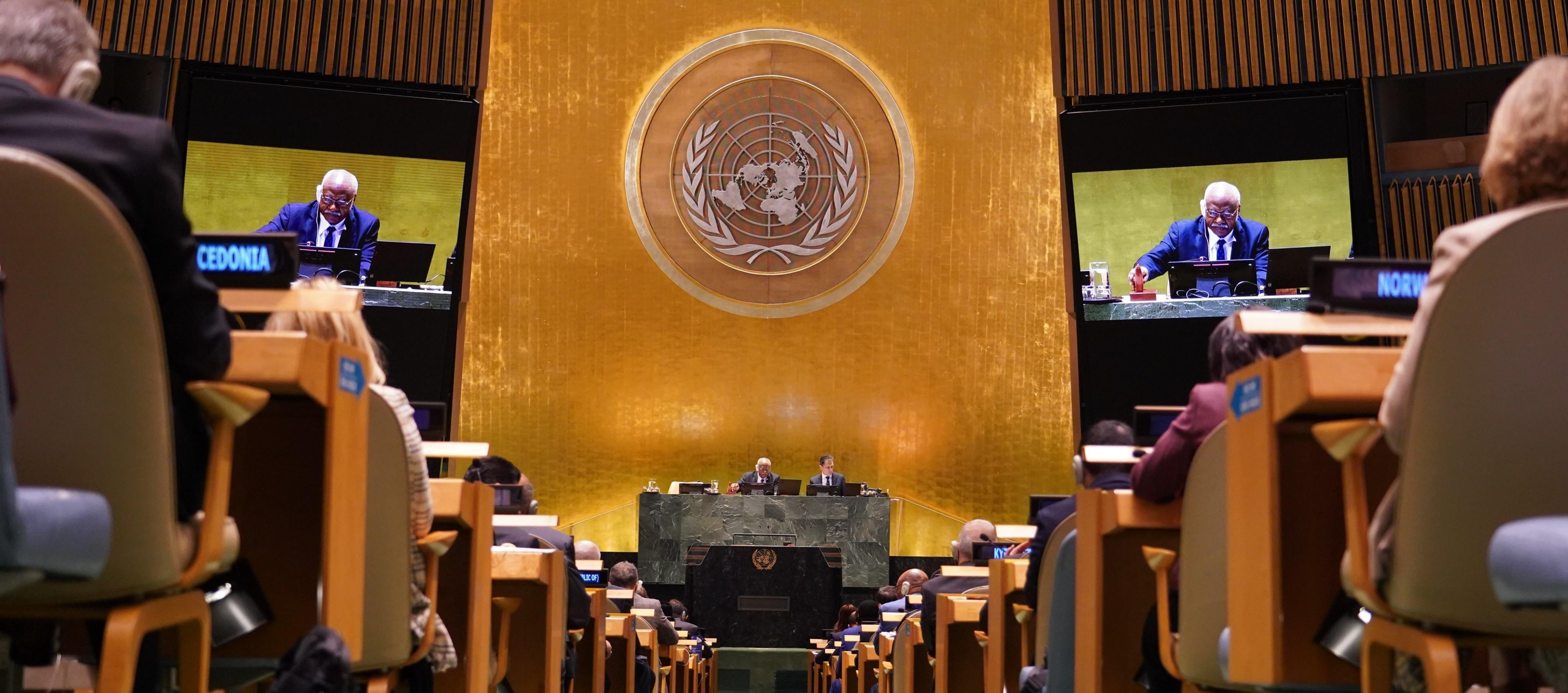 Consejo de Derechos Humanos.