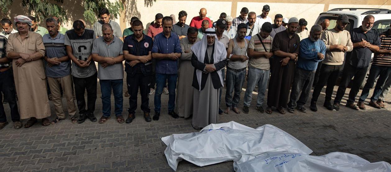 Imagen de la guerra.