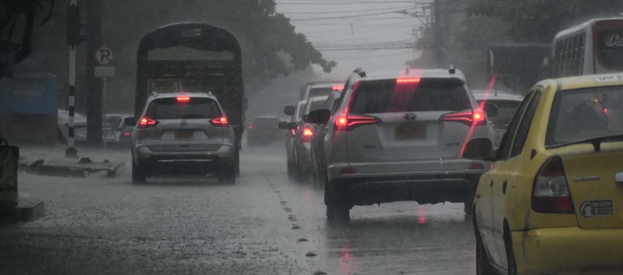 Imagen de referencia.