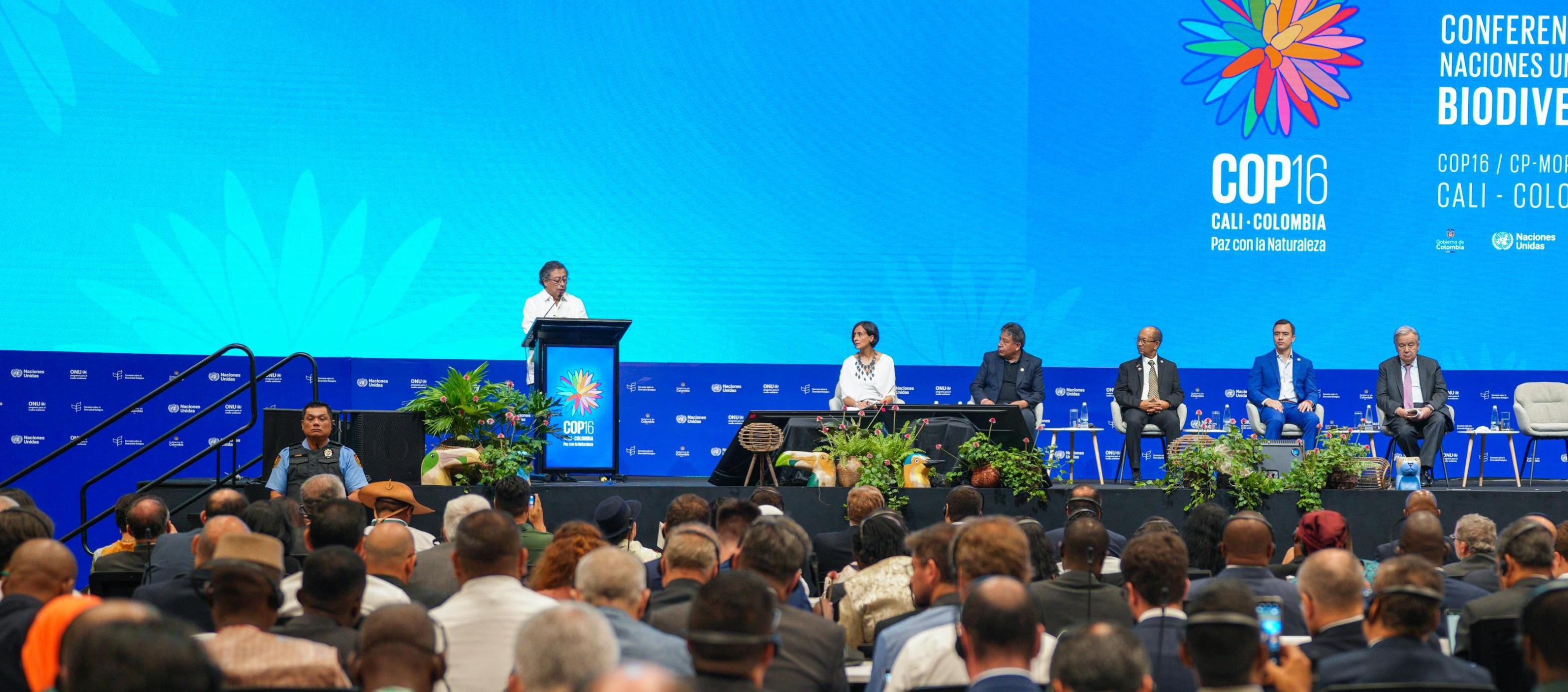 Gustavo Petro en la COP16.
