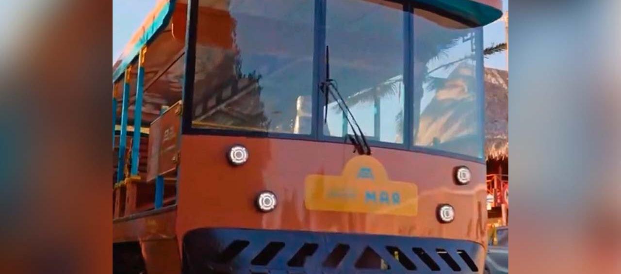 Tren turístico de Las Flores.