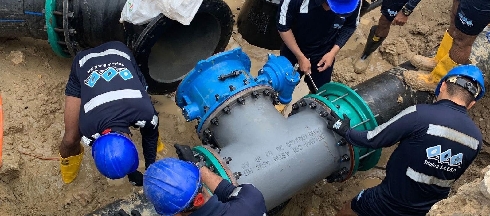 Imagen de referencia.