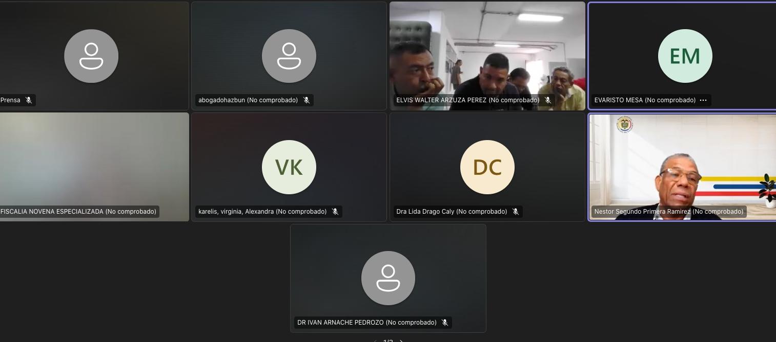 Aspecto de la audiencia virtual de este lunes. 