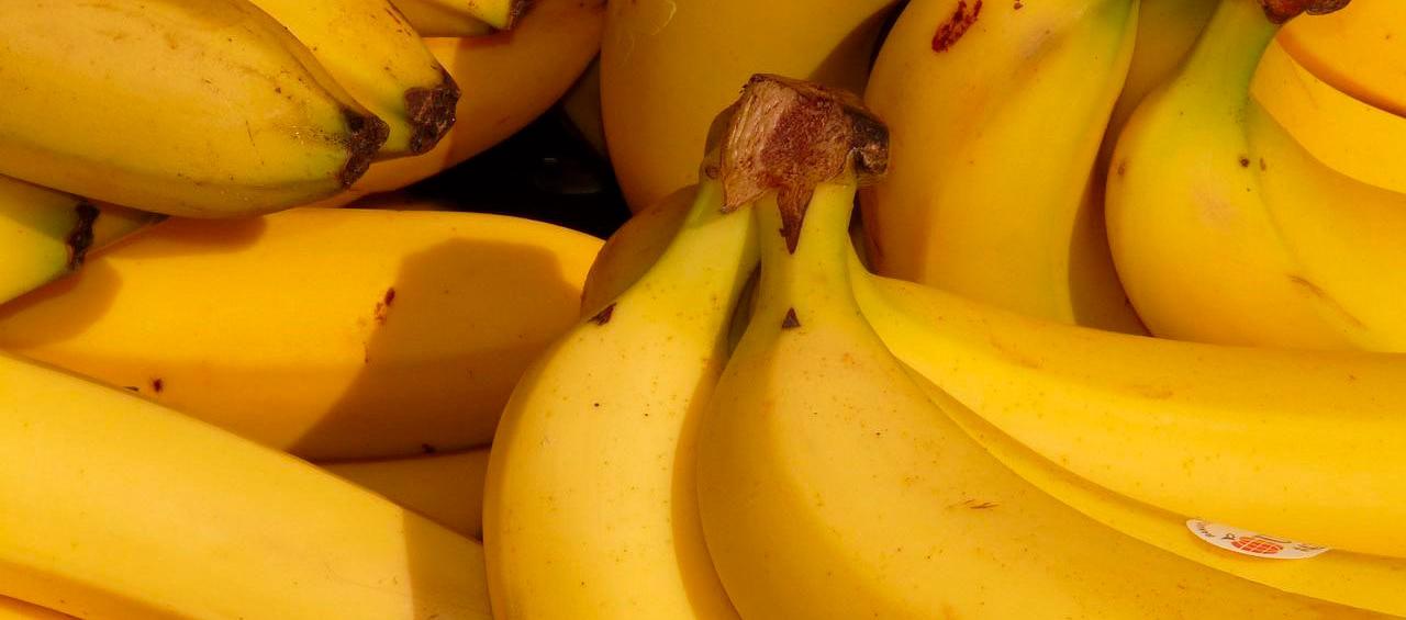 Exportación de banano creció 48,6%.