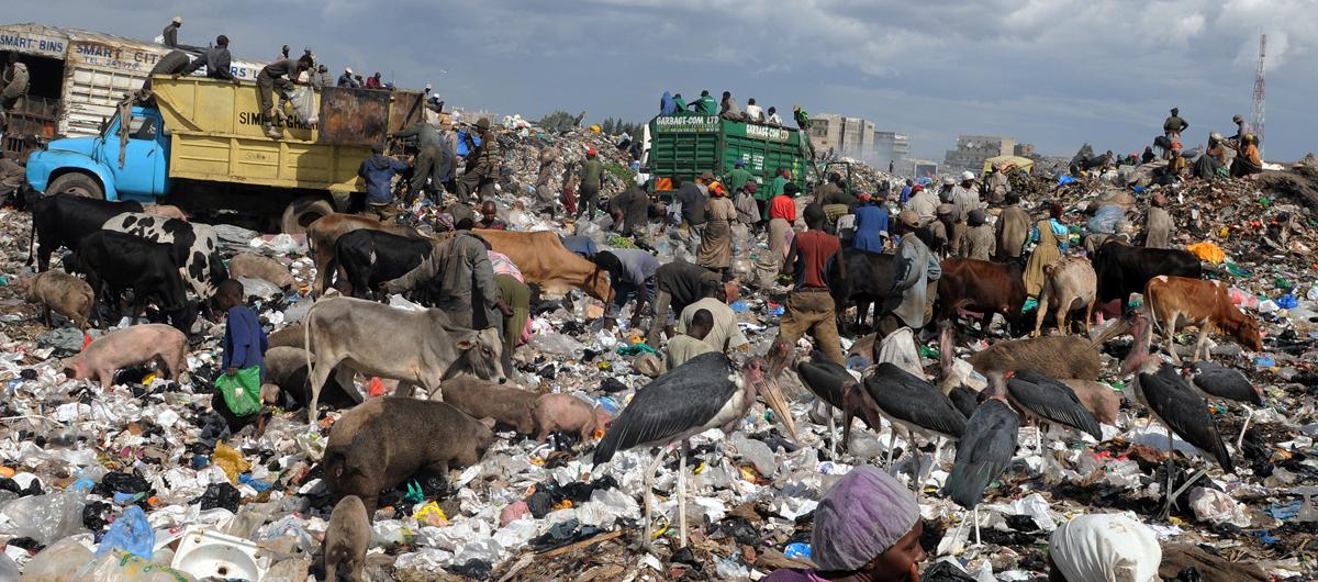 Vertedero de basura. 