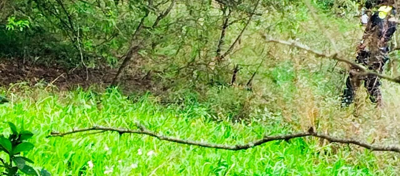 Cerca de la finca de nombre La Cruz.