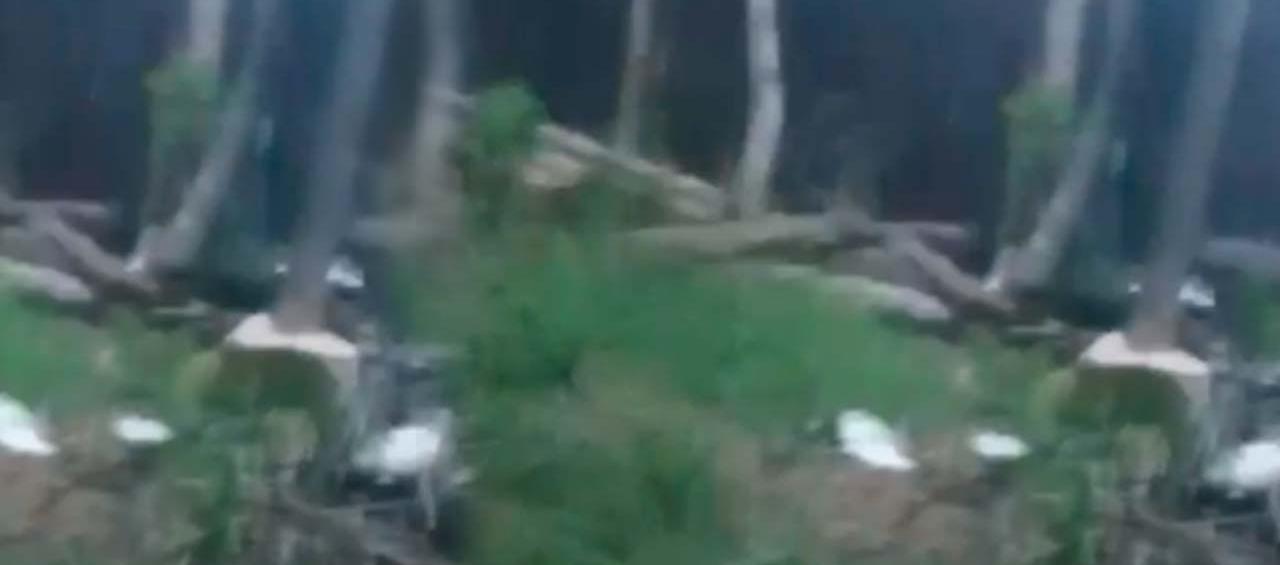 Zona donde encontraron el cadáver.