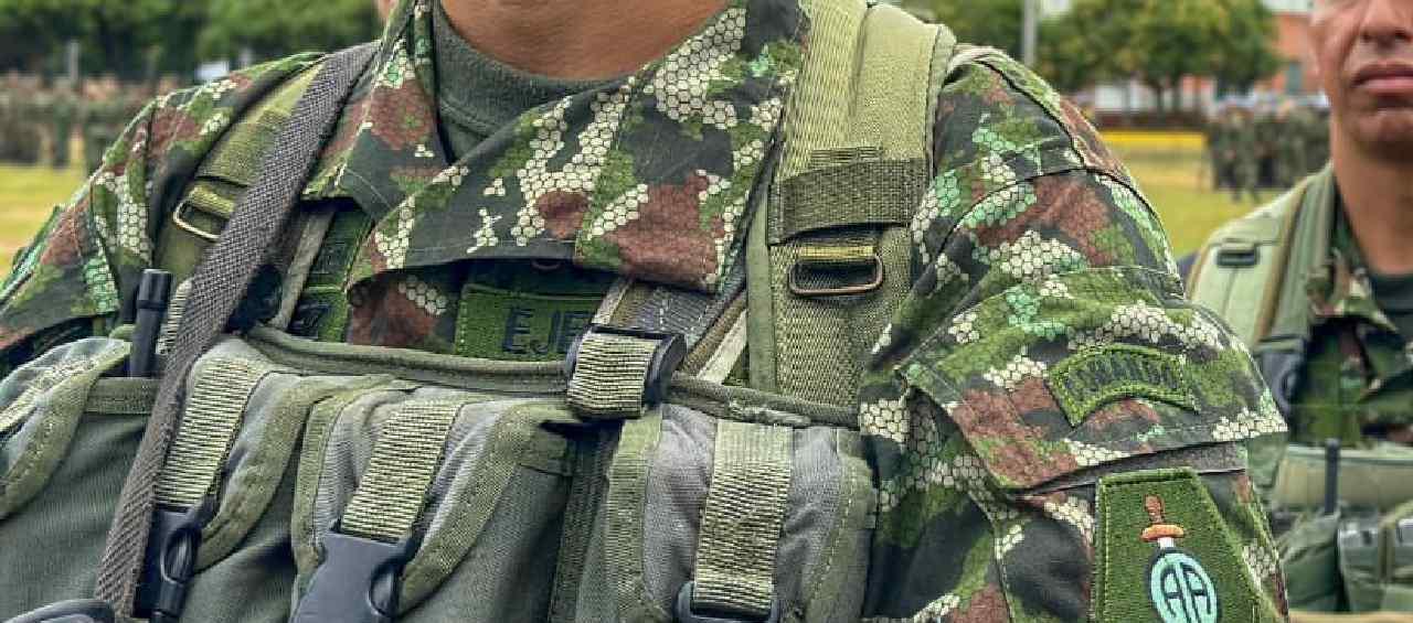 Imagen de referencia.