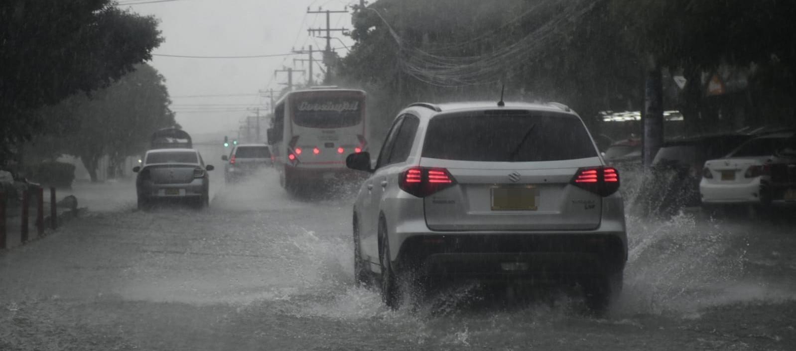 Imagen de referencia.