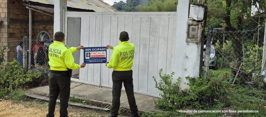 Habrían sido comprados con dineros producto de actividades ilícitas.