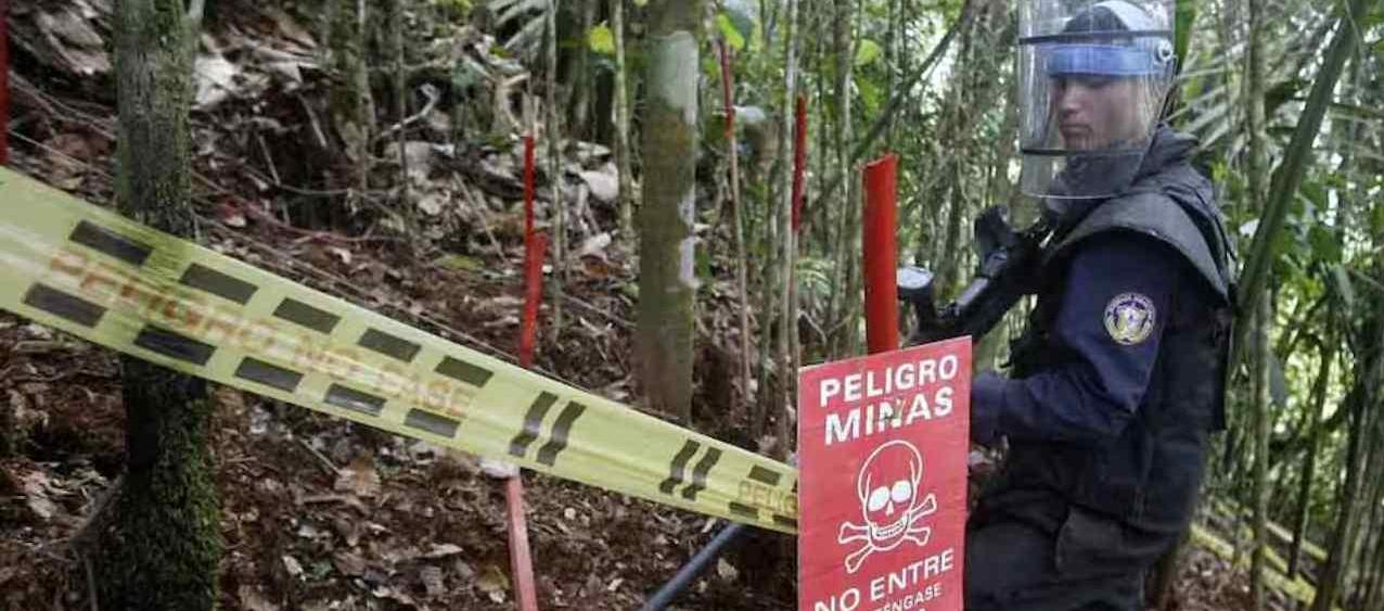 Imagen de referencia.