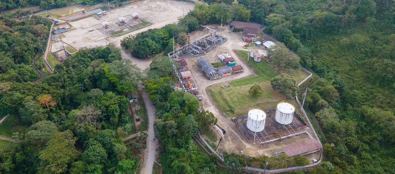 Planta de Gibraltar.