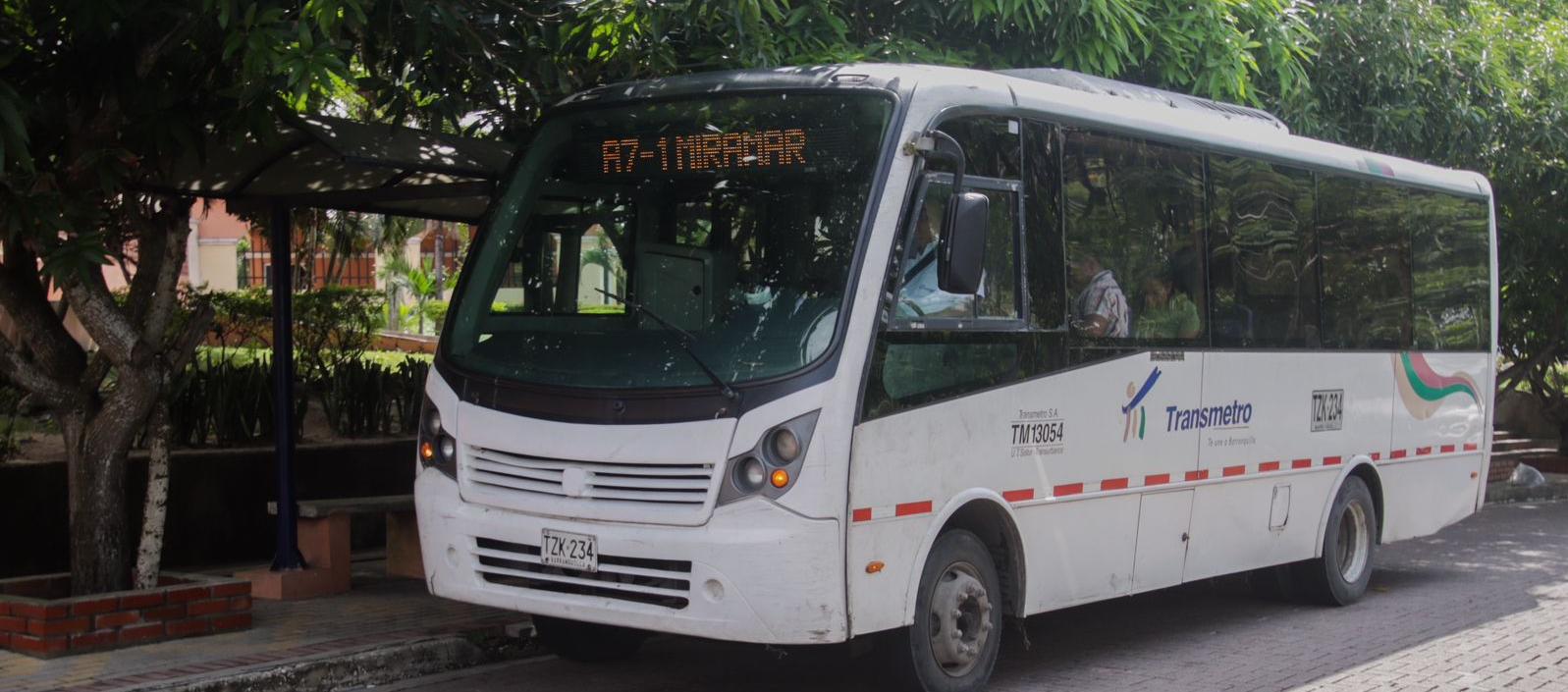 Imagen de referencia.