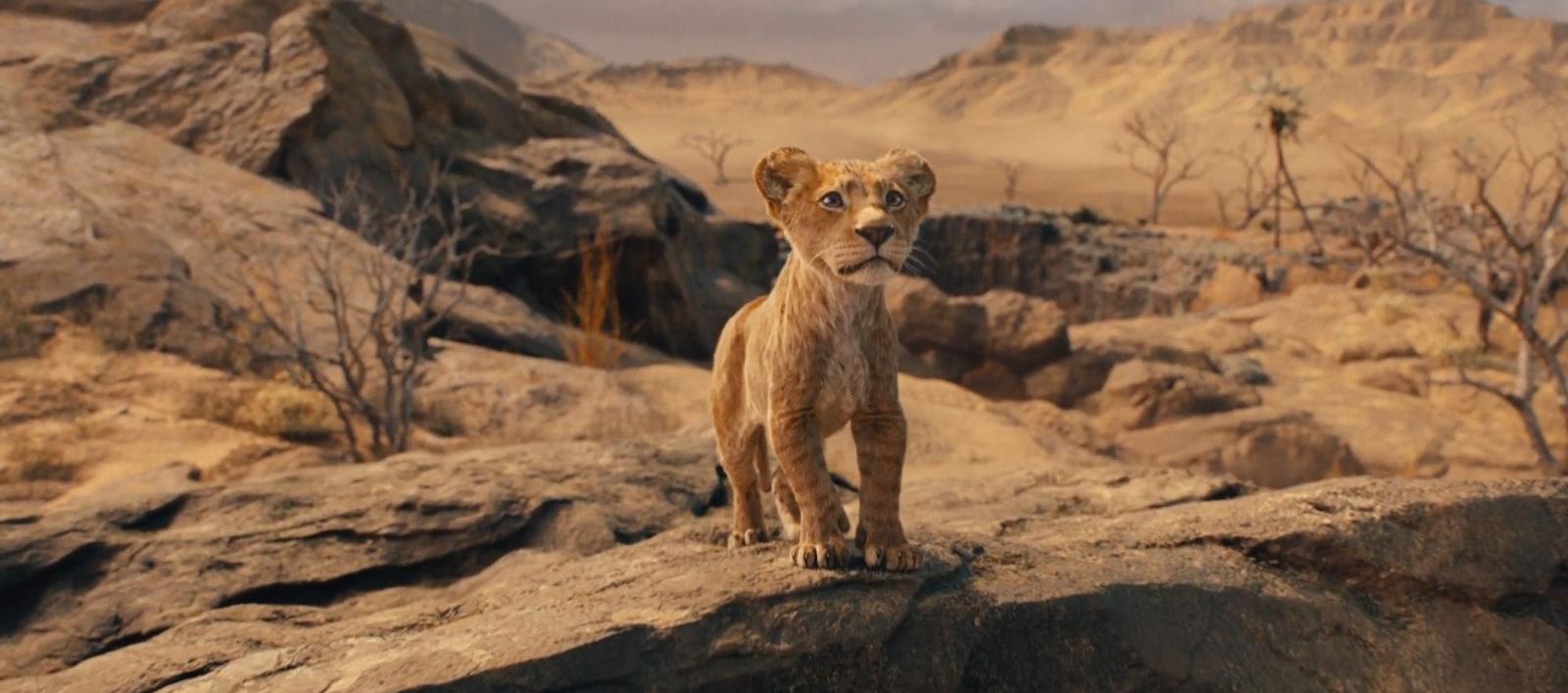 Uno de los estrenos más exitosos de 2024. 