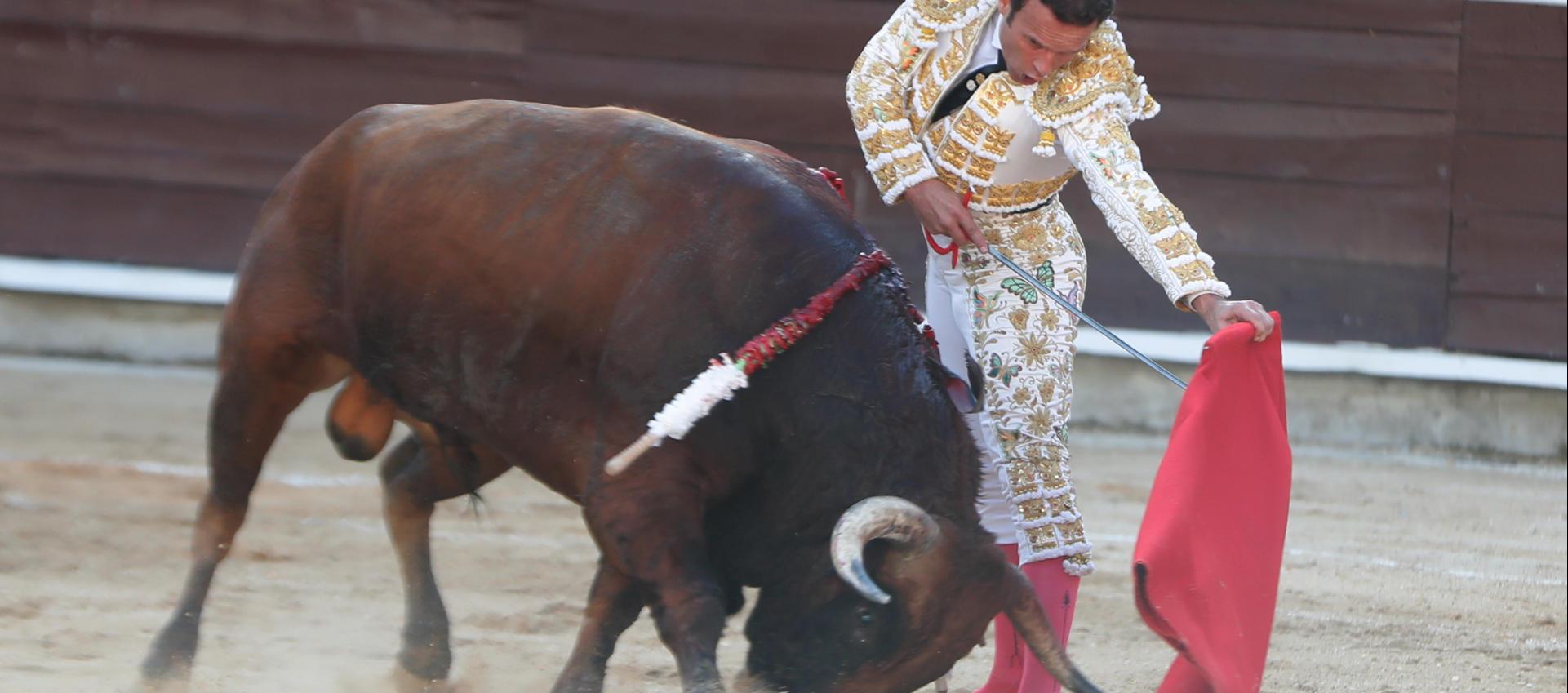 El torero español Antonio Ferrera en la Feria de Cali. 