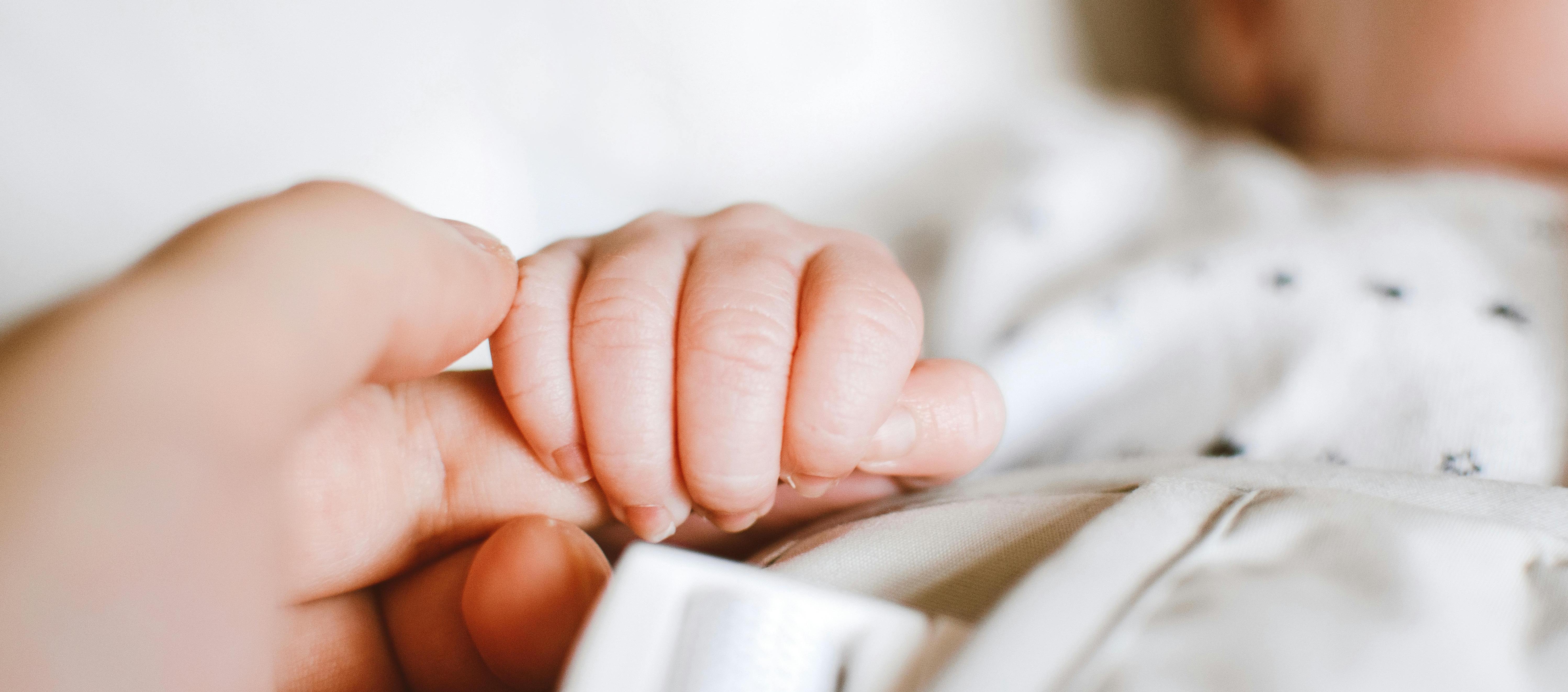 Imagen de referencia.