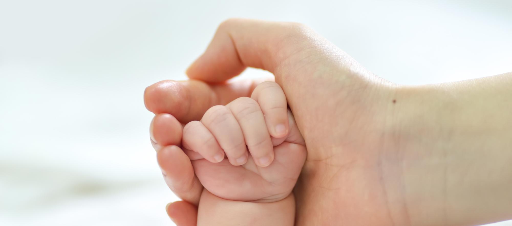 Imagen de referencia. 