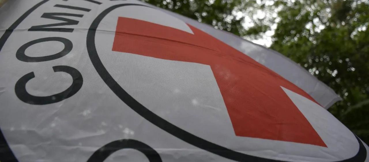 Imagen de referencia.