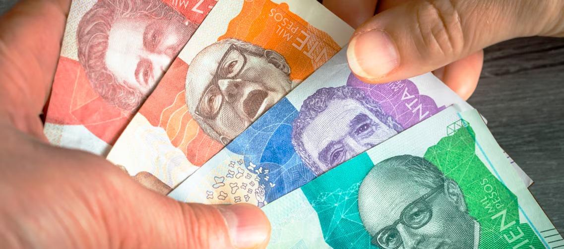 Imagen de referencia.