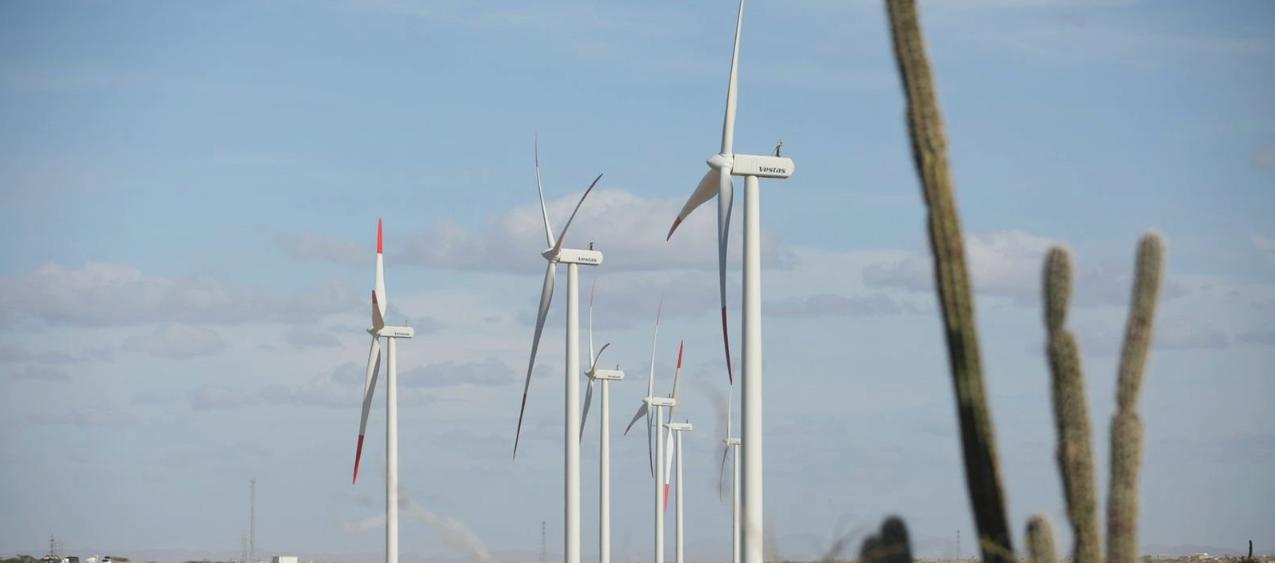 Imagen de referencia.