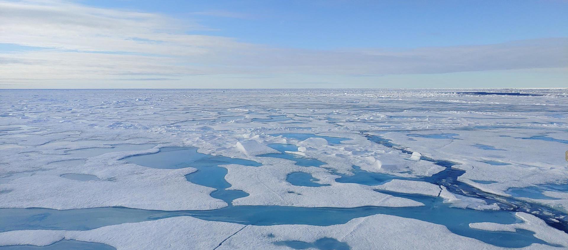 El hielo marino del Ártico se derrite a un ritmo sin precedentes.