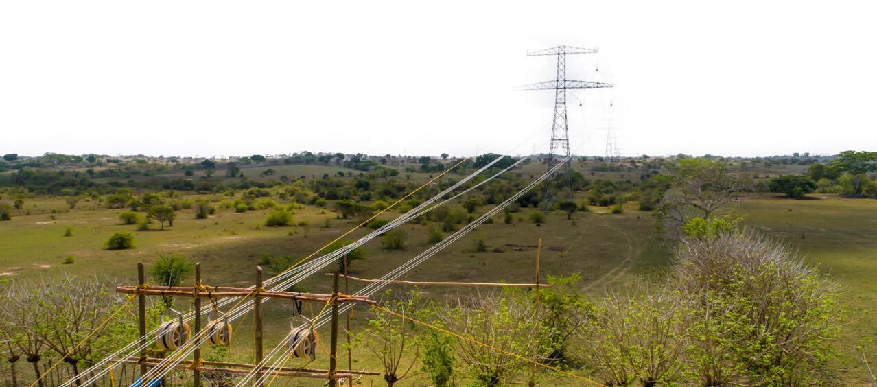 Imagen de referencia.