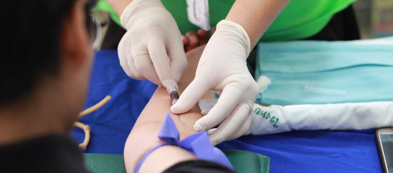 Imagen de referencia