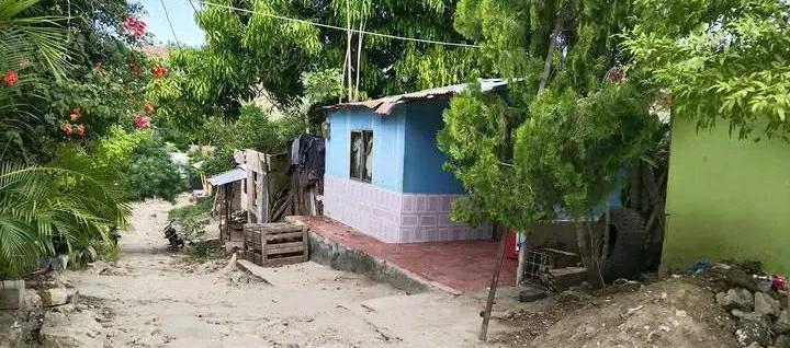 Brenda Velásquez Iriarte