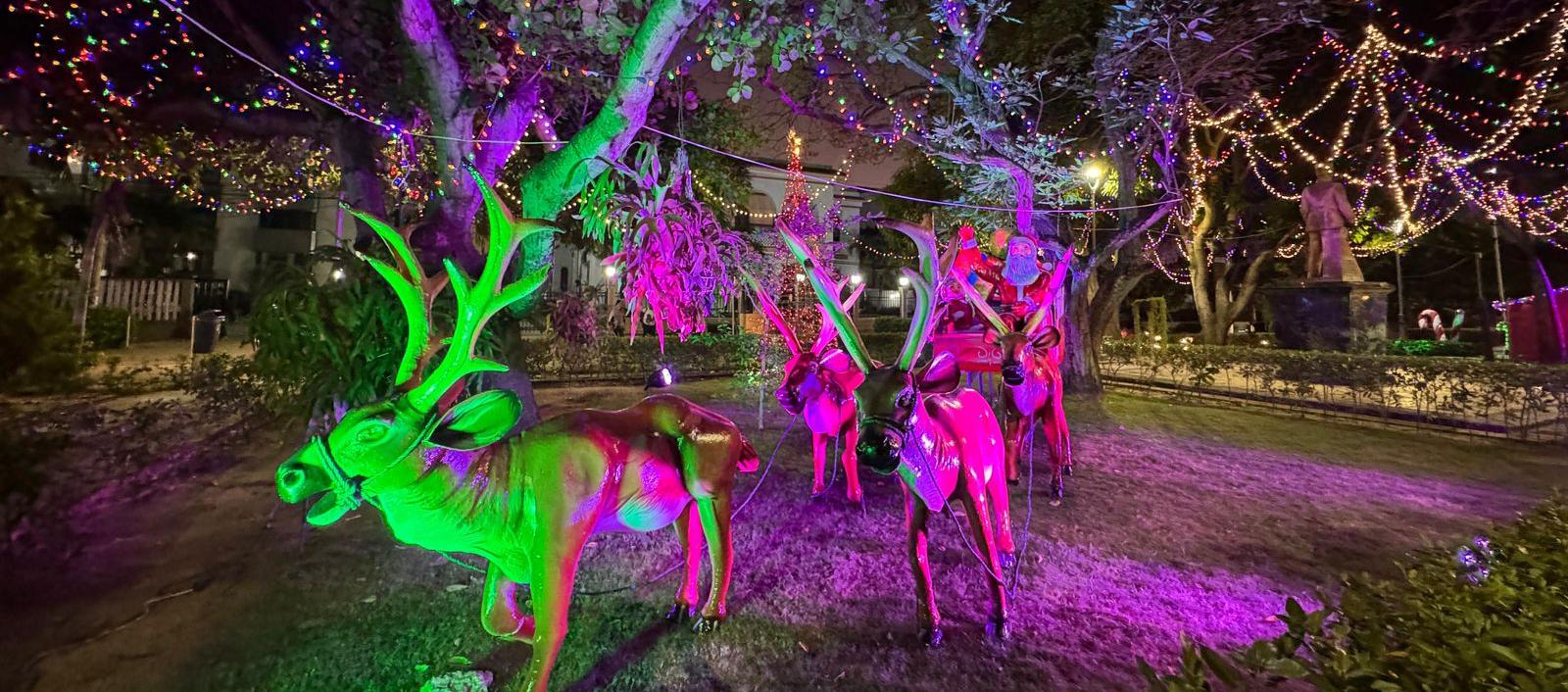 Decoración navideña.