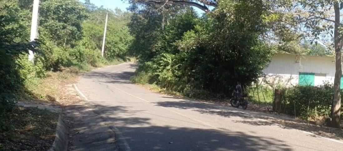 Planta despulpadora de mango