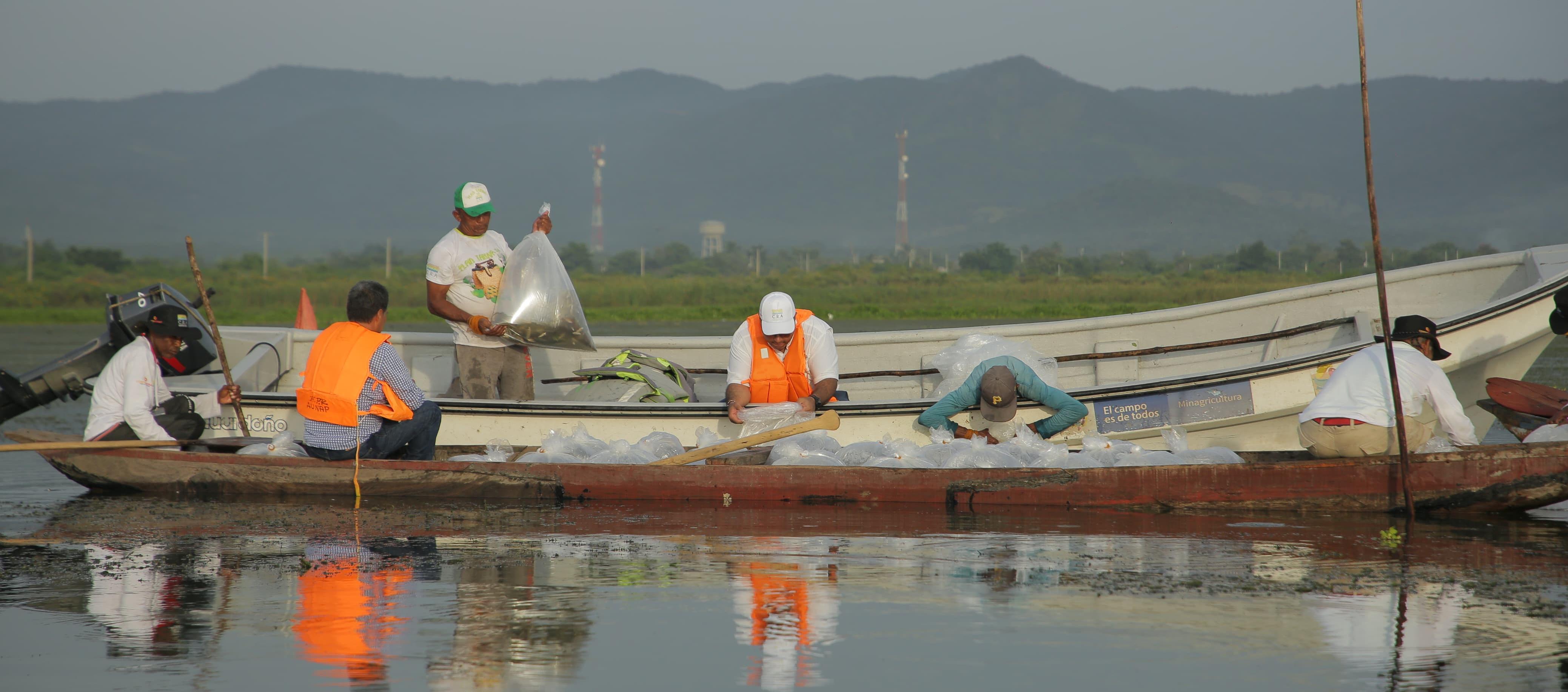 Jornada de repoblamiento de alevinos en el embalse El Guájaro.