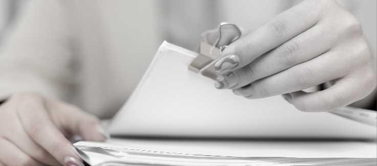 Imagen de referencia.